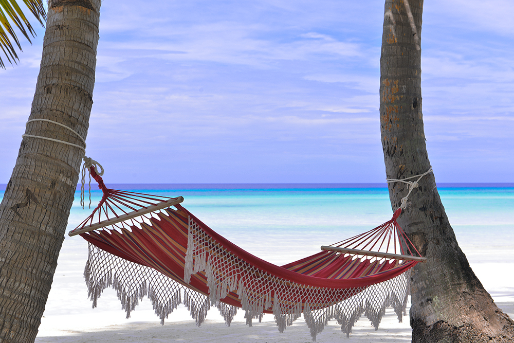 Hammock on Siesta Key Beach in Florida overlooking water