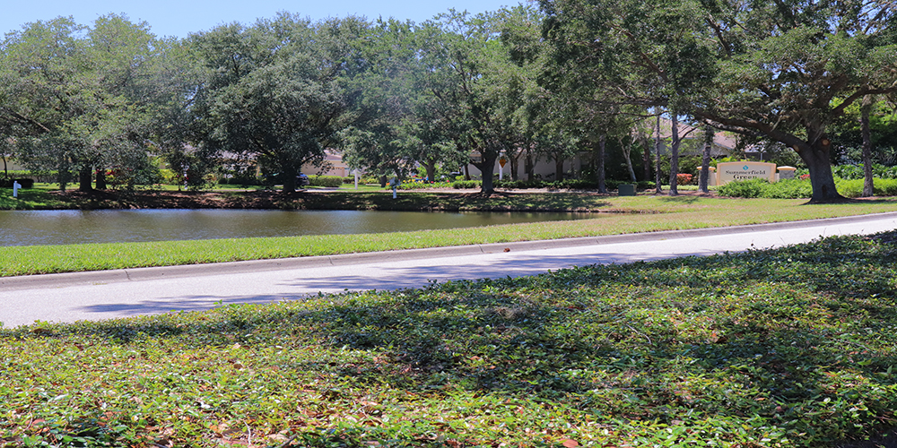 Summerfield Green in LWR