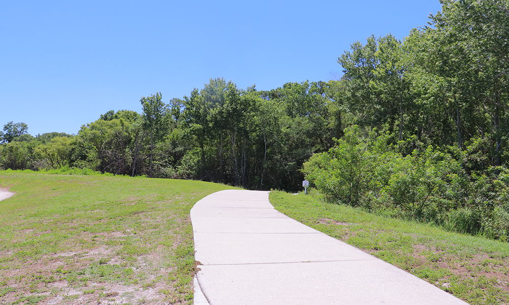 Summerfield Park Hiking Trail