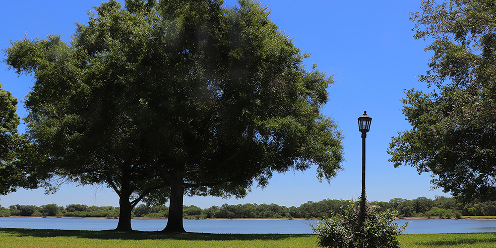 Summerfield Strand Lake in LWR
