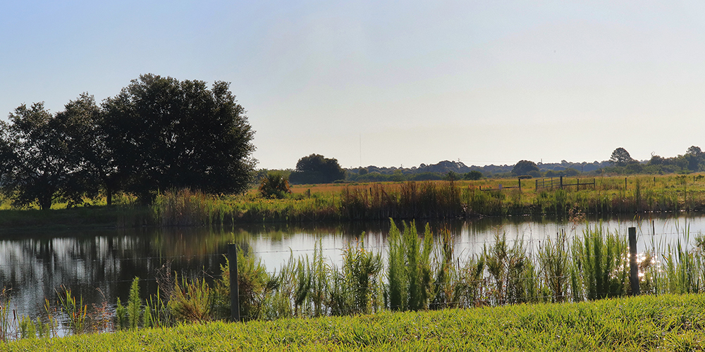 lakehouse cove waterside in lakewood ranch lake
